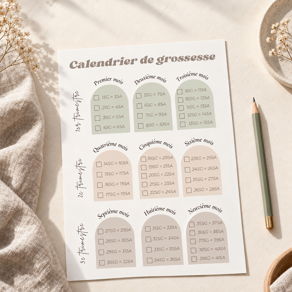 Dossier maternité - Édition Odette