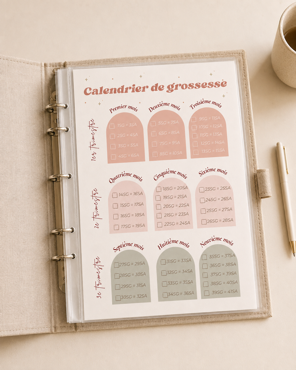 Dossier maternité - Édition Ondine